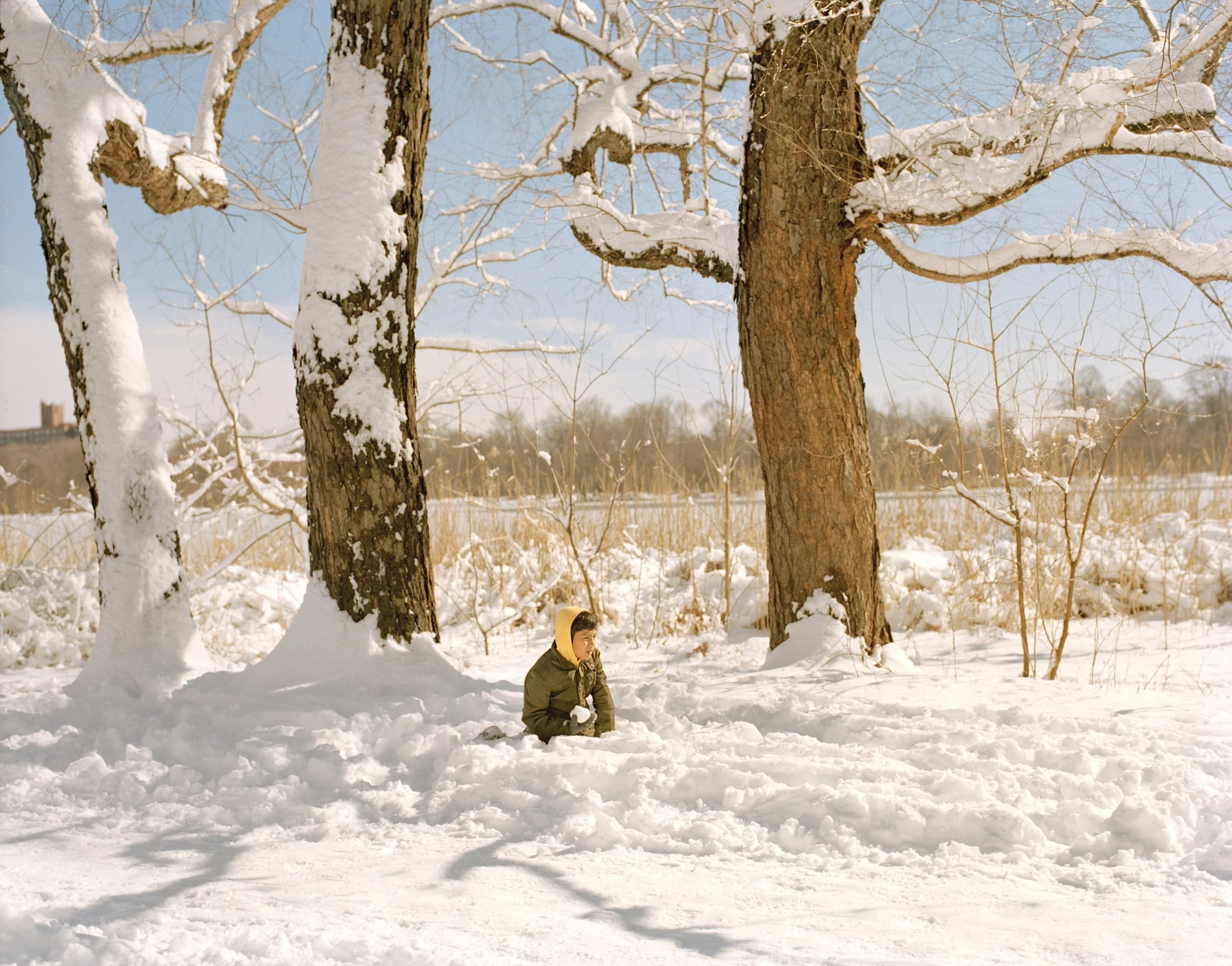 In Plain Air by Irina Rozovsky — Irina Rozovsky